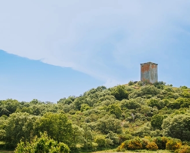 Comarca da Limia: Cultura y tradición